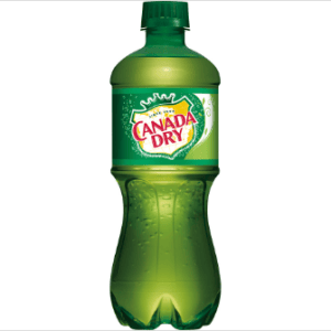 Canada Dry Bottle 20 oz