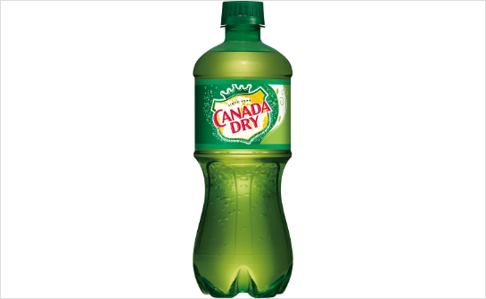 Canada Dry Bottle 20 oz