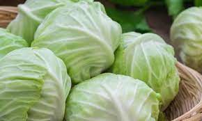 Cabbage EA