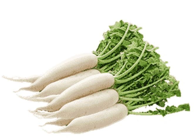 Muli/Radish