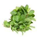 Mint Bunch