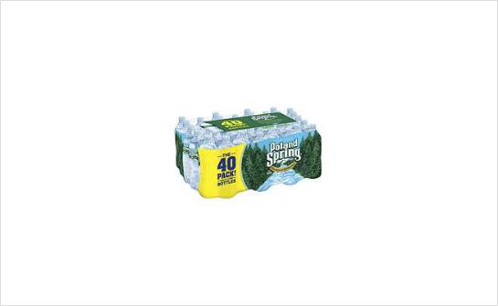 Poland Spring 40 0.5 ltr