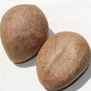 Dry Coconut