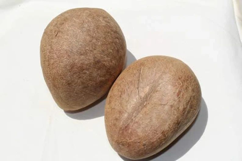 Dry Coconut