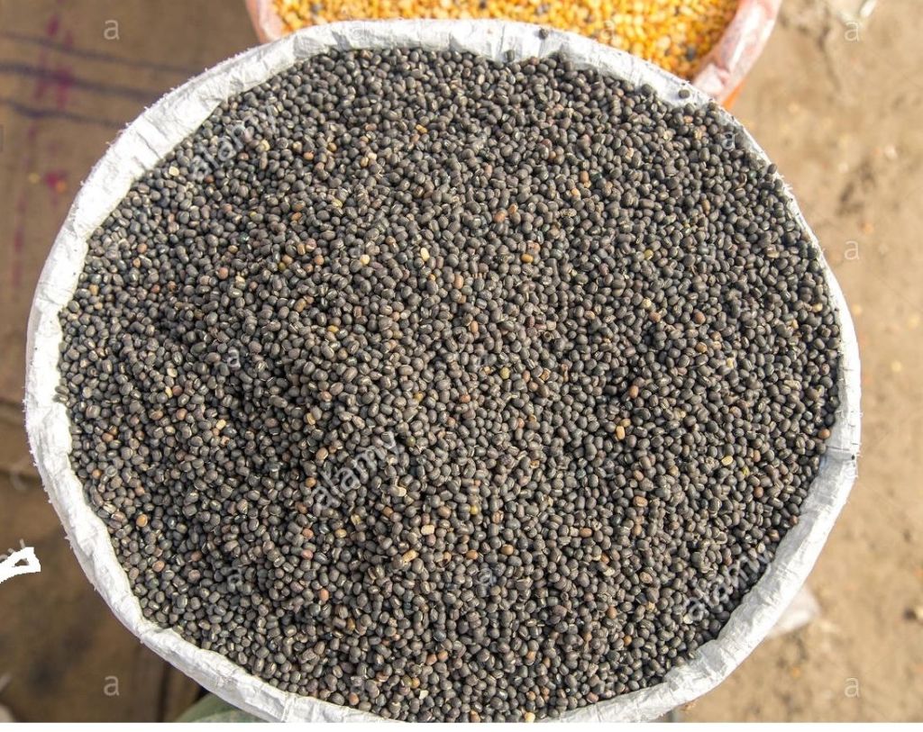 Urad Dal Whole Black 2 lb